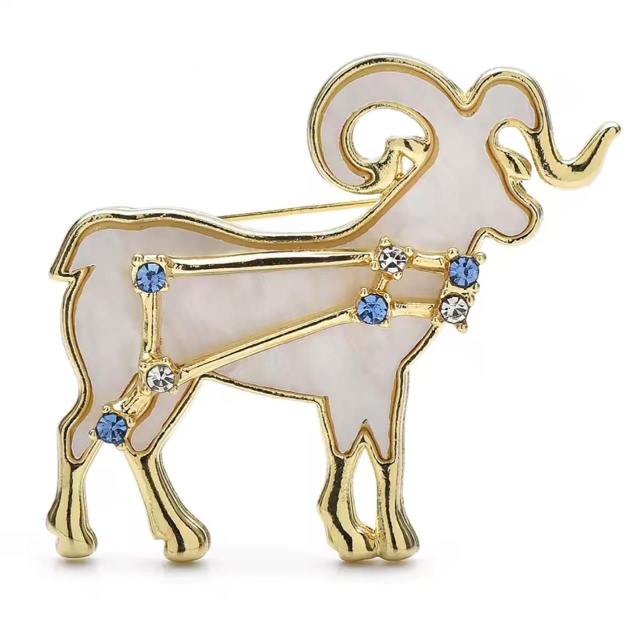Broche Zodíaco Luxo