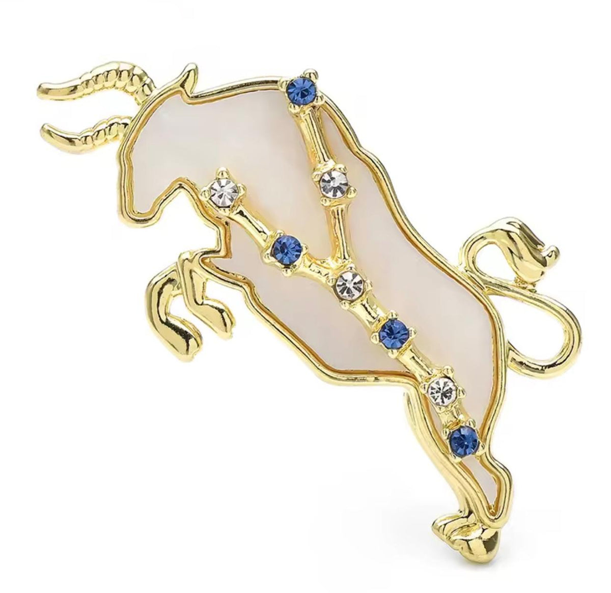 Broche Zodíaco Luxo