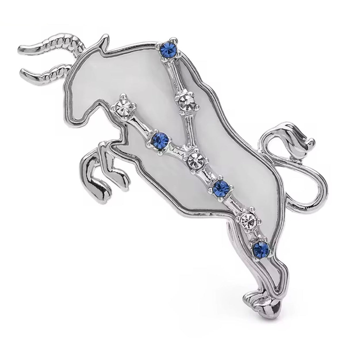 Broche Zodíaco Luxo