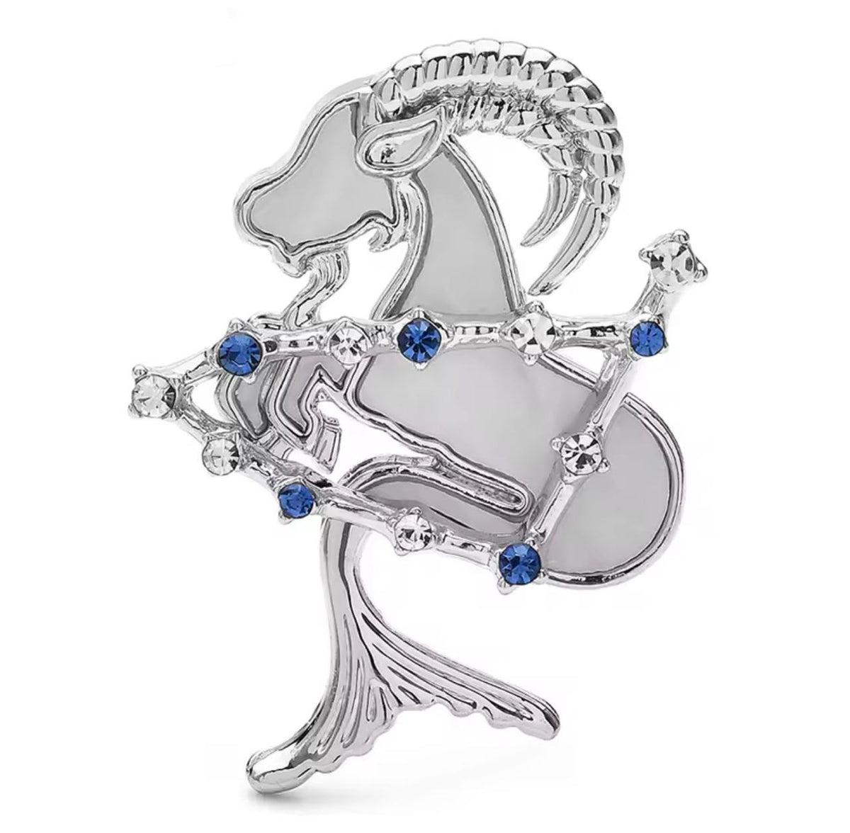 Broche Zodíaco Luxo