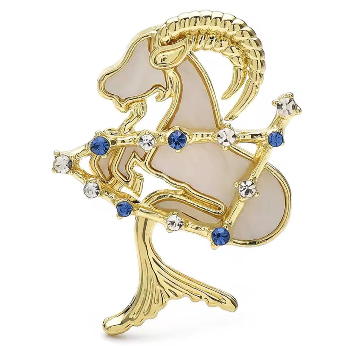 Broche Zodíaco Luxo