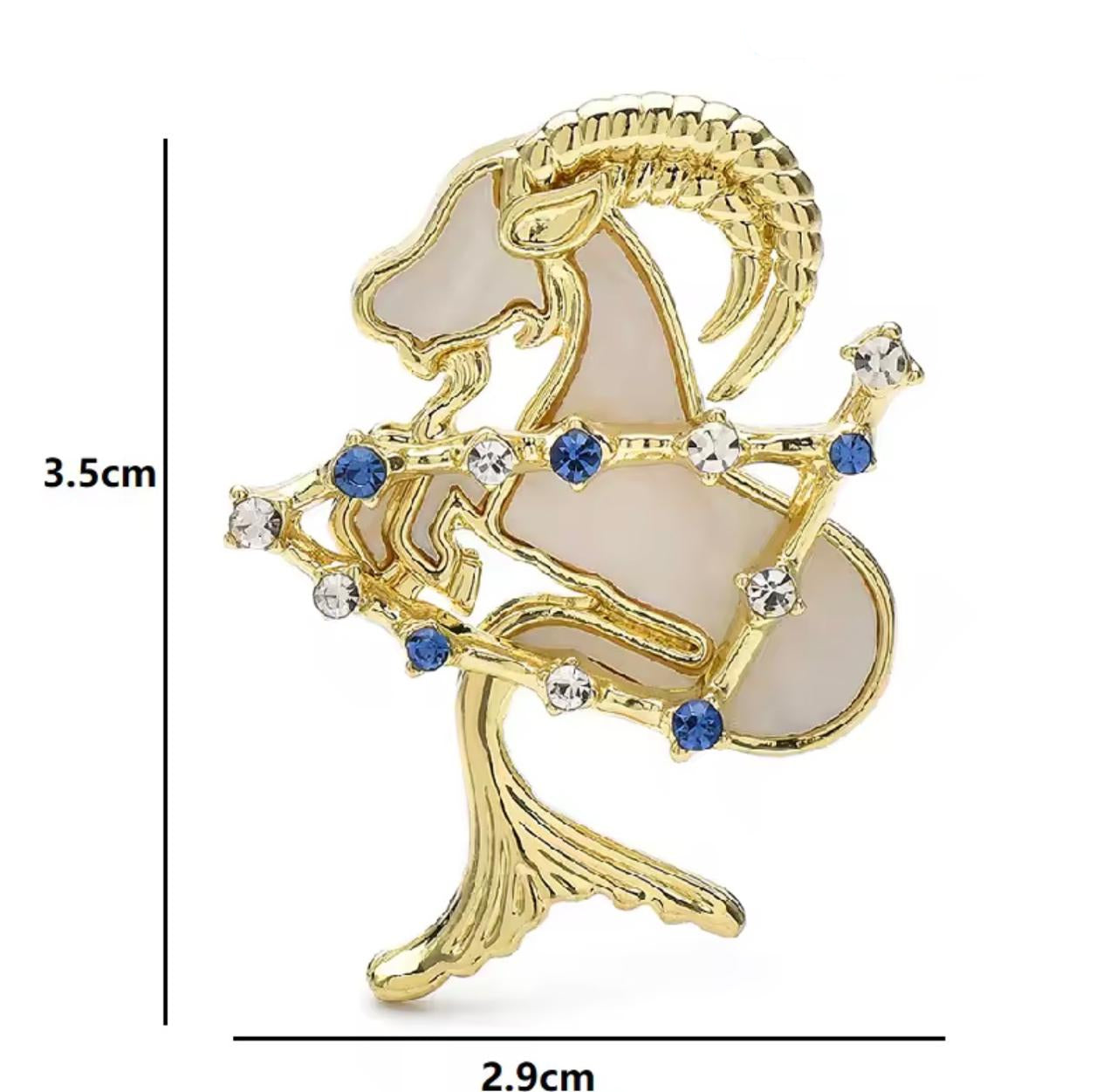 Broche Zodíaco Luxo