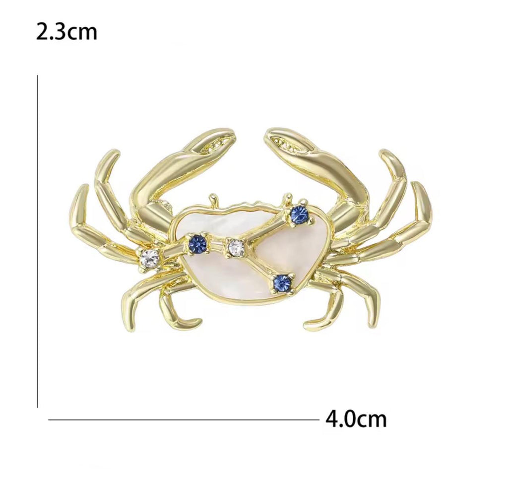 Broche Zodíaco Luxo