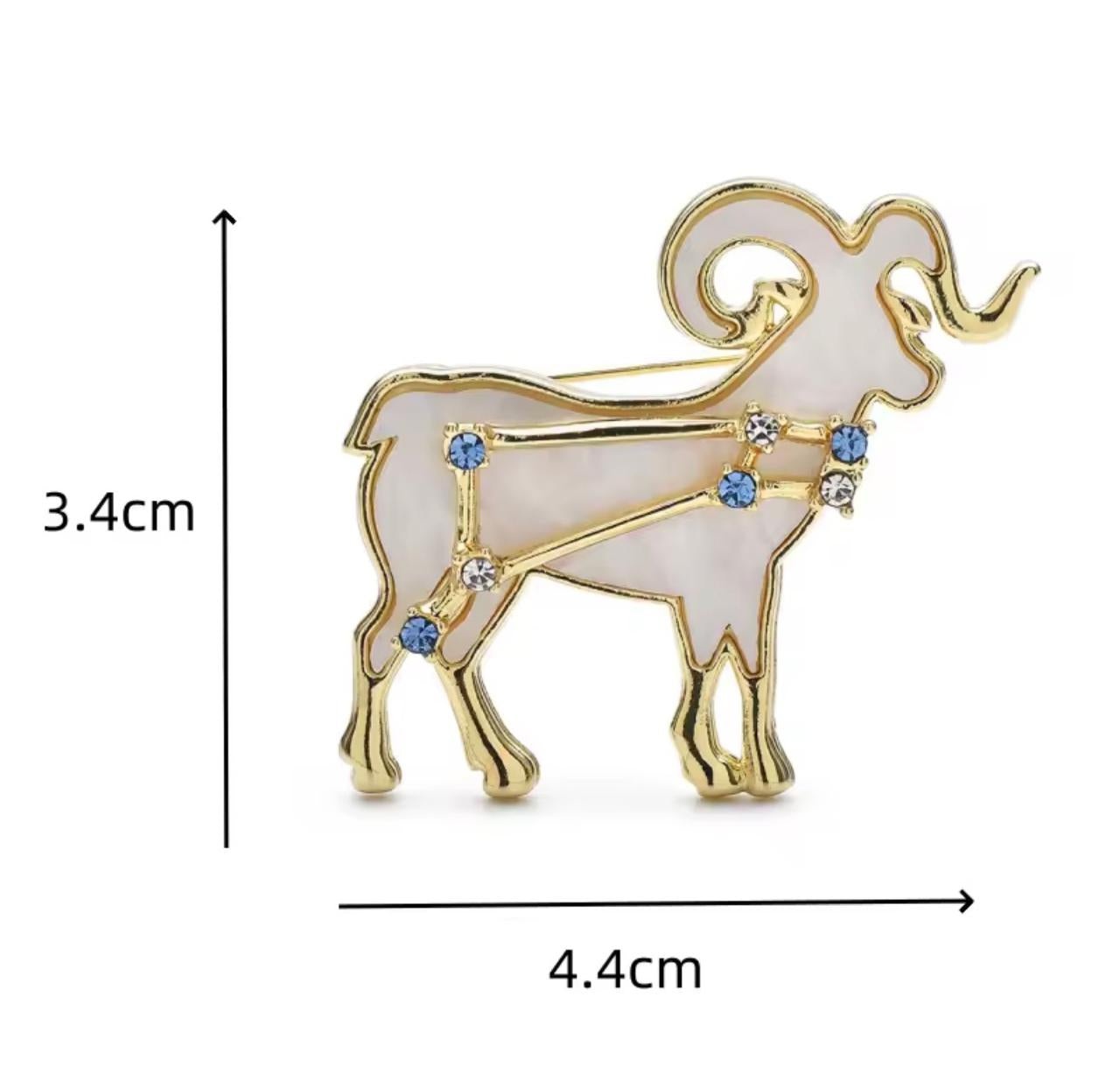 Broche Zodíaco Luxo