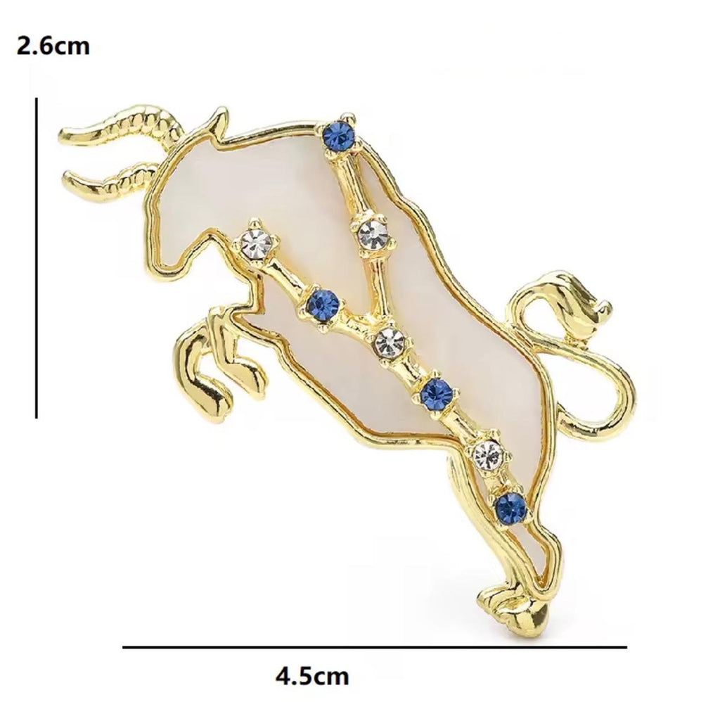 Broche Zodíaco Luxo