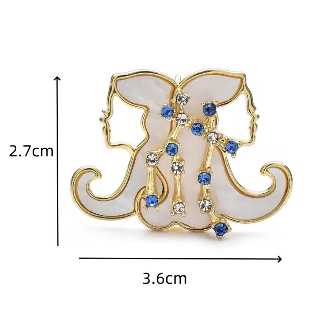 Broche Zodíaco Luxo