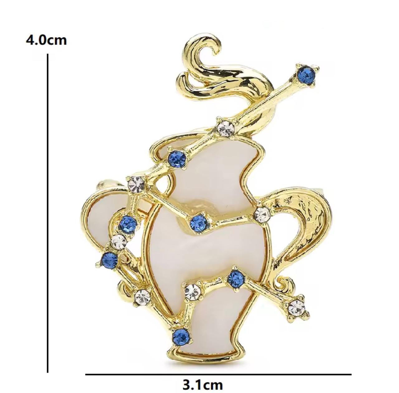 Broche Zodíaco Luxo