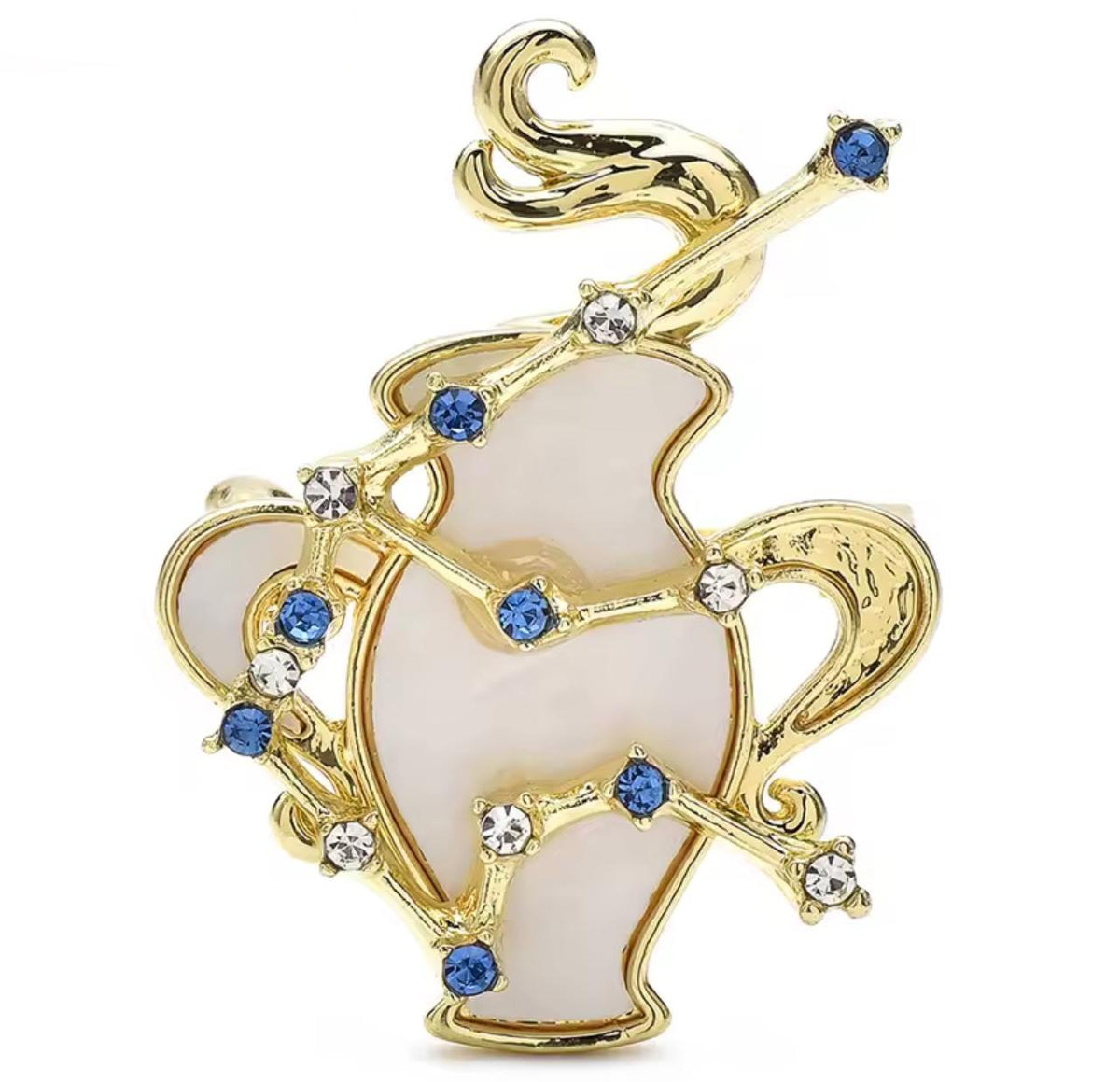 Broche Zodíaco Luxo