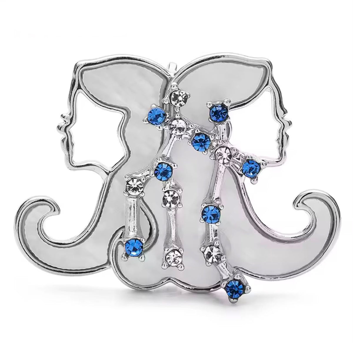 Broche Zodíaco Luxo