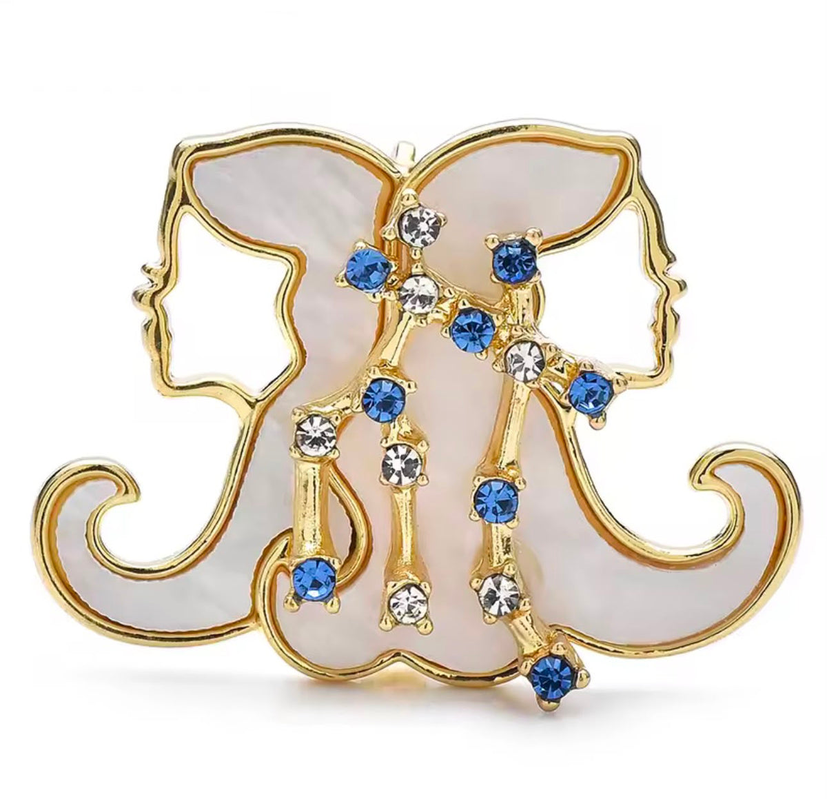 Broche Zodíaco Luxo